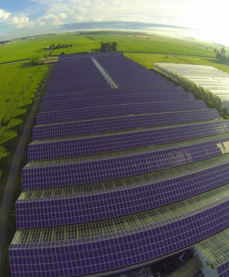 Vine_Fresh_Produce_Enphase_Sentinel_2MW_Aeria_1100x768l